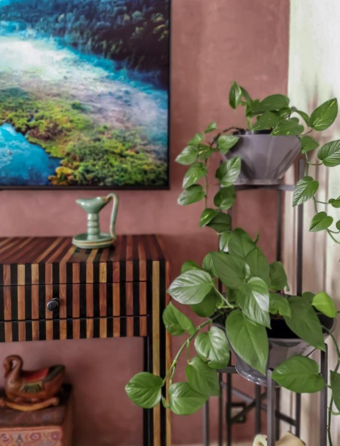Teddy Pirate - Coliving Hostel Taghazout Εξωτερικό φωτογραφία