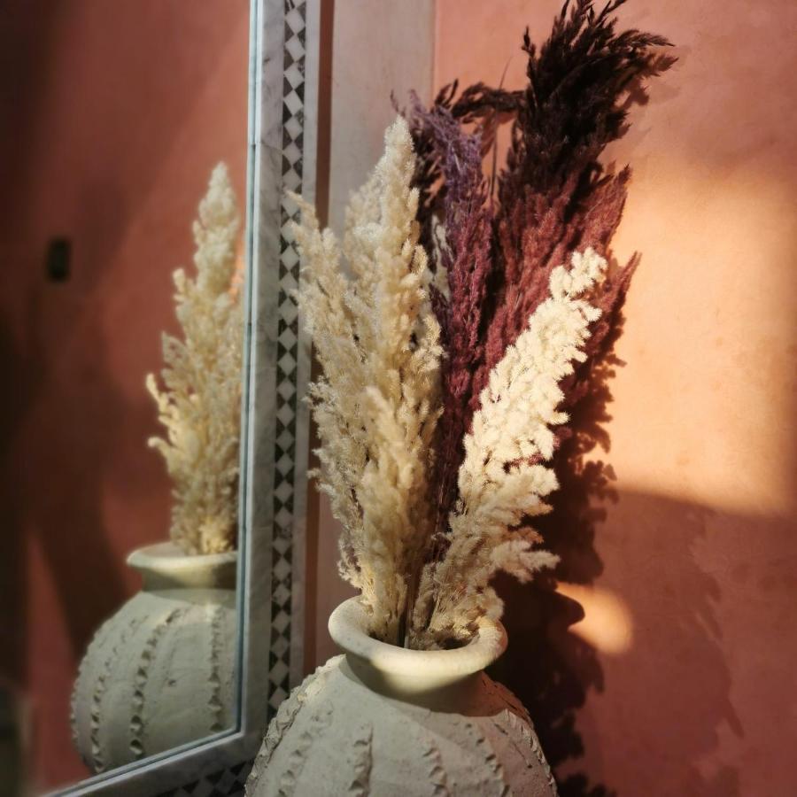 Teddy Pirate - Coliving Hostel Taghazout Εξωτερικό φωτογραφία